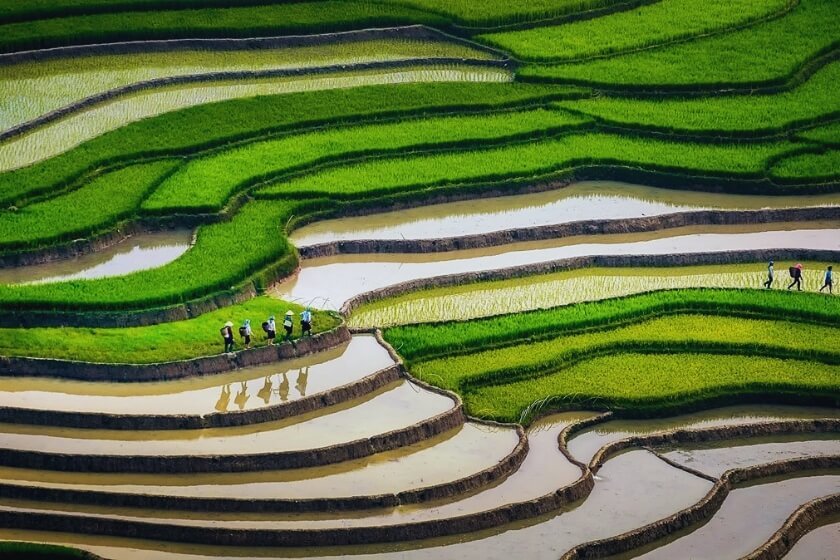 Image gallery